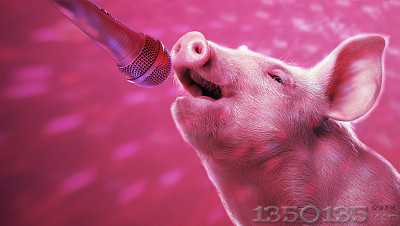 ��2018������߲���������Ӌ�����е��ش��{��