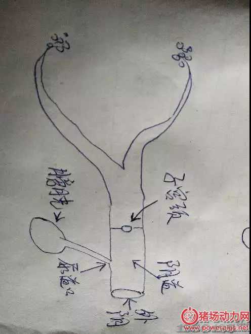 ��N�r(sh��)ĸ�iͻȻ����ǰ�_������Ѫ��զ���£�