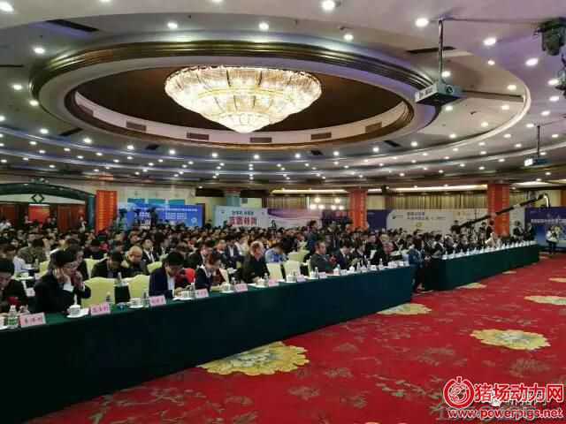 ������ɳ�ӻ��i���B(t��i)���I(y��)��ӛ�ܳ��x����Ό�����ɳ�ӡ��ƌ��l(xi��ng)���i�������Ї�(gu��)�߶��i��