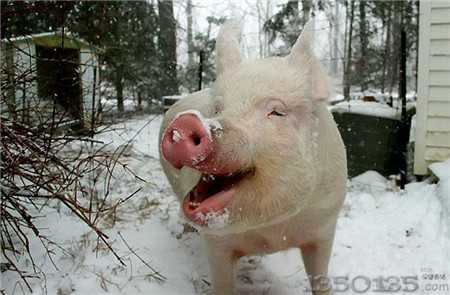 �����i��ʲô�L(zh��ng)���������@���c(di��n)���ÿ���ǰ���ڰ낀(g��)�£�