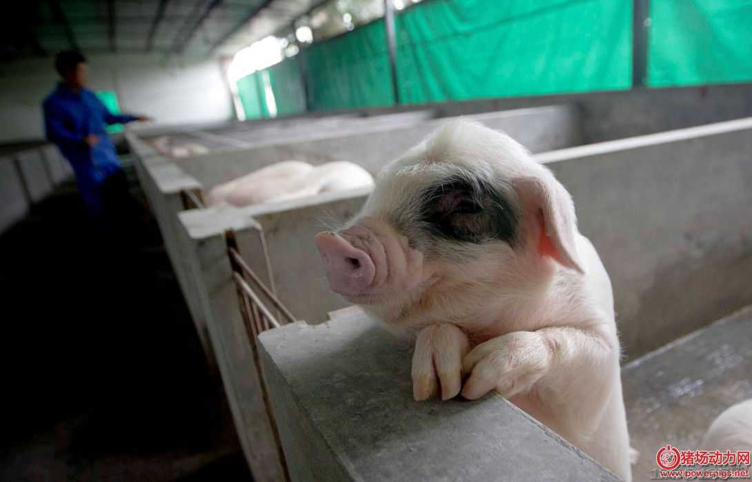 ��һ�C��21���i�У���ô�k�����i���f���@ô����