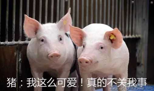 �B(y��ng)�i�|�����̷����Ϸ�һ�B(y��ng)����������ͽ�̣�