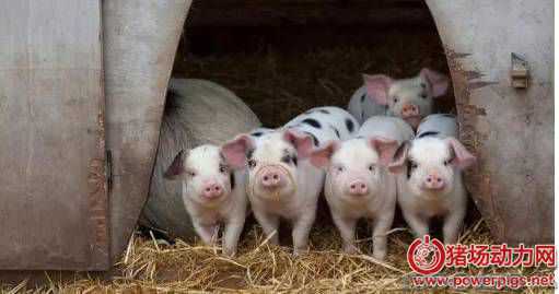 �i����ȫ�Ķ��������������B�i��ֵ���ղ���