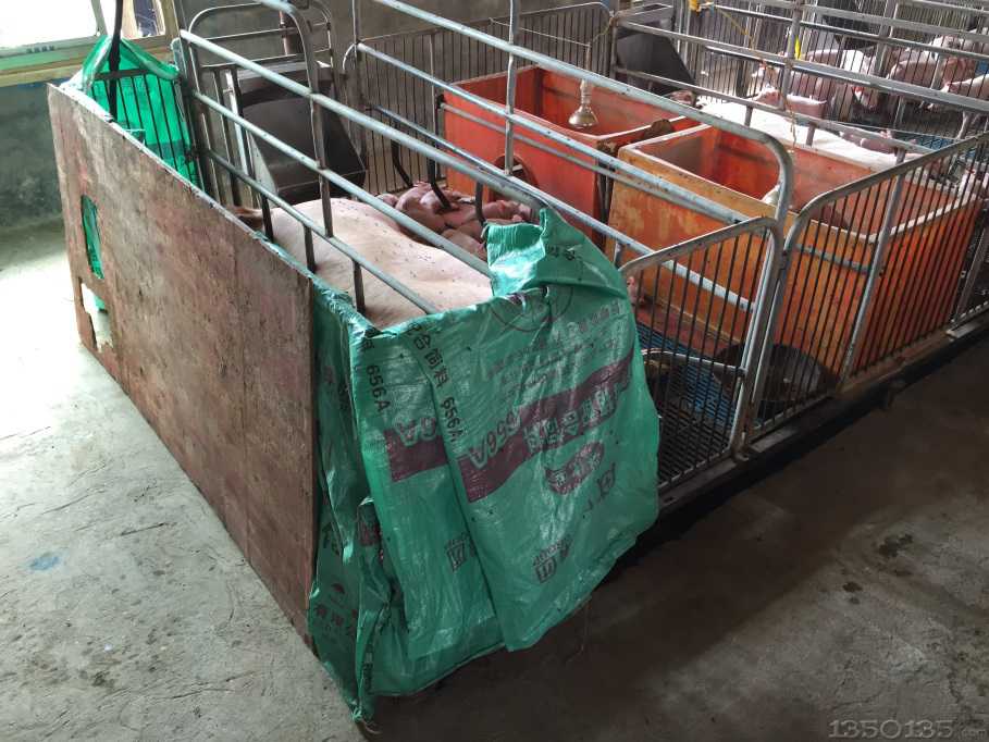 �͜���⣬Ո�A(y��)���iȺ�䑪(y��ng)��