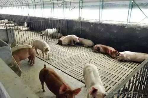 �@�����B�i�`�^���ܶ��˶����_�K�ˣ�