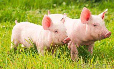 �i�r�����Ӂ������󲿷ֵ؅^�µ�����ȥ�Ώ���