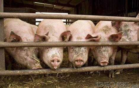 �@���������괺���i���׿����ˣ�