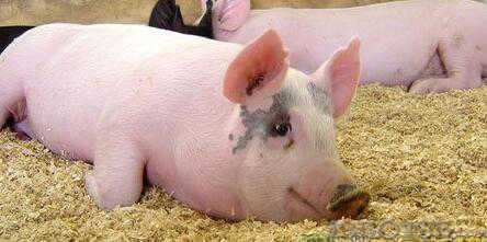 �T���x���i�r���������sС ���ֹͣ�µ�����