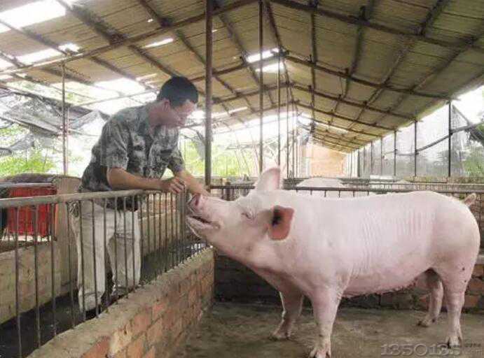 �B�iǰ��׽����͸����ǰ��ǰ���߀�]��ȫ���� �Ј��i���������