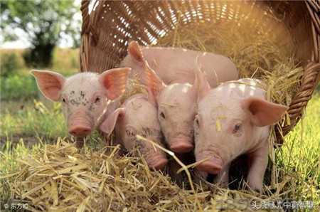 �˽��i�ռZ��֬���ărֵ�����B�i�д������