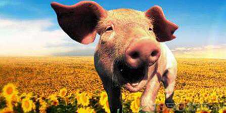 ����ʼ�ӣ�����ů�������B�i��ԓע��ʲô��