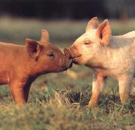 �i�r�ϝq�؅^�������࣬�ܷ�һ������q��ȥ�أ�