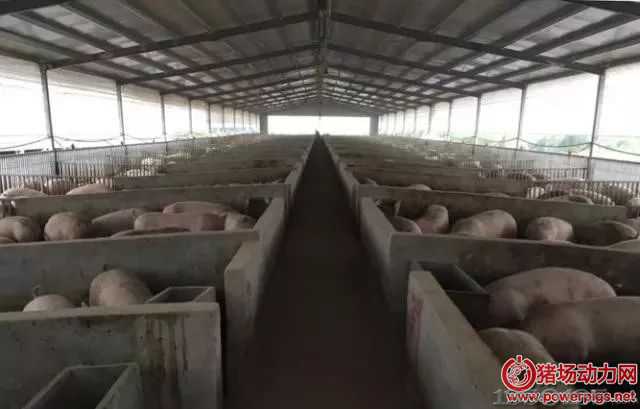 ���@���Aɽ��Ⱦ���ǈF��״��b���������i�ο�Ȯ������Ⱦ�˲�����