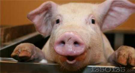 �i�r�K��ֹ�����q�����B�i�˱����ӛһ������