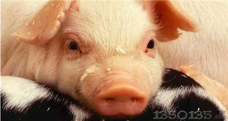 ��1�����i���u�o�Ї�5�K�X�����@Ⱥ������X���Լ�ٍ���ˣ�