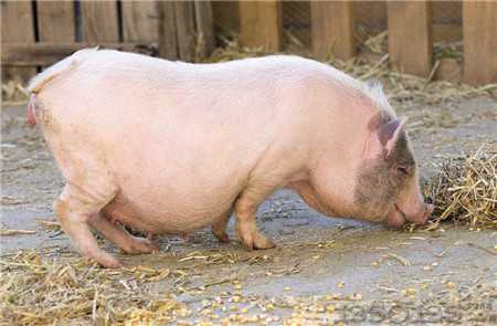 �P�ڽ����i�rһЩ�Ɇ����i�����ֽo��ȫ����