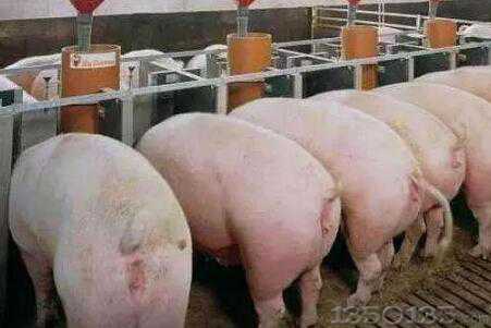 �������i���a��δ�ض��Ǽ�(x��)����������ģ��@���P(gu��n)�I��������ܺ����ˣ�