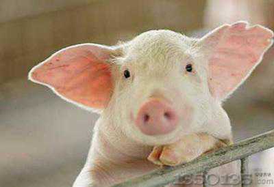 �Bֳ�����uһ�^�i̝100Ԫ��ʹ�գ�߀�������Εr��