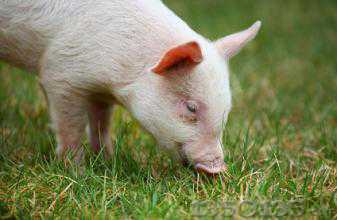 �i�r�µ����������{�����߰l����׃��ӯ���轵�ͳɱ�����