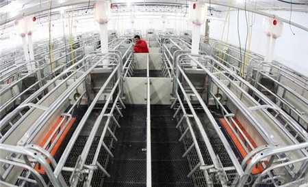 �h���������Ҍ����c����3��Bֳ��I����̭5��Bֳ��I��