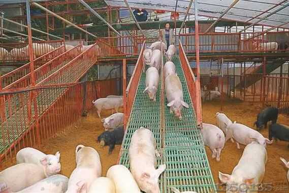 ���B���iס���ӏ�ʽ��ǣ����ô�ᘺͳ�ˎ����������ô���£�