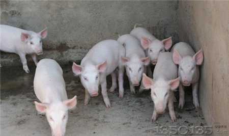 �i�����l������·�OӋ��Ҫ��ѭ��ЩҪ�c�������OӋ����ã�