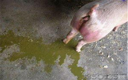 ����(sh��)�á��i��(ch��ng)�����Ը��a�ɹ��������Y(ji��)������