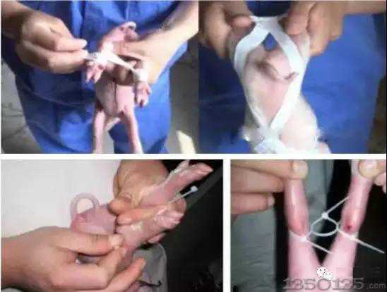 ���i������̎��