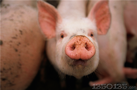 �i�r(ji��)�����^�m(x��)�ž����M(m��n)���@�״����ػ��ʹ��ֹ��