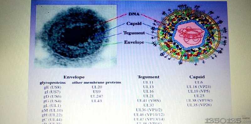 �i�ο�Ȯ���羿���ǆλ���ȱʧ��߀�Ƕ����ȱʧ���?