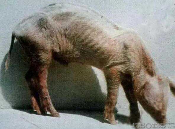 �i���Ľ��i����Ҫ������̭���@��̎�������