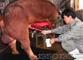 �i��Һ���Á����i�����i��Һ��һ�N����������...