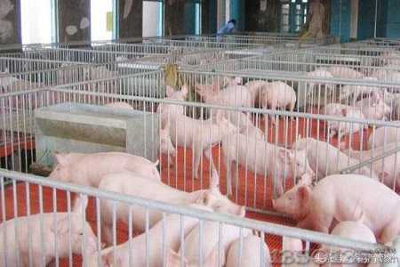 �r(n��ng)�I(y��)�r(n��ng)�岿���ҽ��h�B(y��ng)�i���������������a(ch��n)��Ҏ(gu��)���Ј��L�U