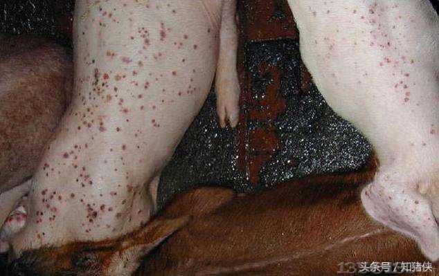 �i���Ҋ6�N�����\��͌��÷��η�����ÿ�����Ǿ���