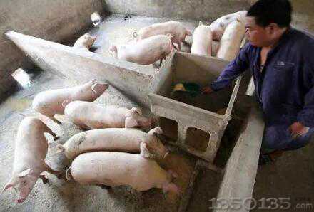 ��ʮ���B(y��ng)�i��(j��ng)���мҽ��h���B(y��ng)�i��횺��λ���