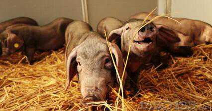 Ʒ������׌����i�u�F3��������������ô���׵���