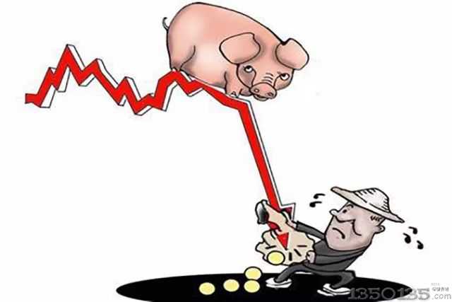 �B�i�a�N���o���i�����@���]��ʲô�e����ʲô�r��ɢ�B���ܲ��M��