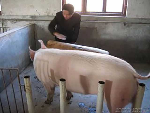 �B�i��˲����ף����ܶ��r��߀�ڈԳ֣�ԭ��׌�����ᣡ