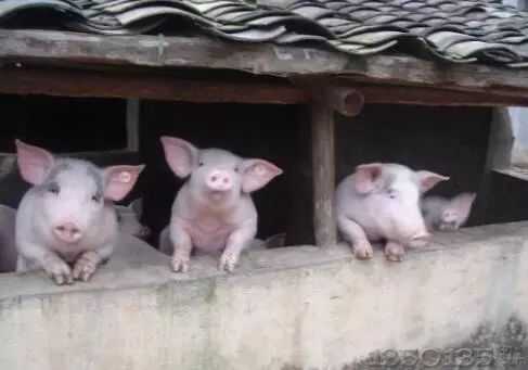 ���B�i���K�ڱﲻס�Ŵ����ˣ�ɢ�􂃵ęC�����ˡ���