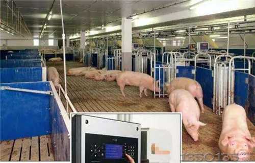 �R�ƺͶ��ڵ��B(y��ng)�iģʽ��ʲô�^(q��)�e�������B(y��ng)�i�����ǻ��r(n��ng)�I(y��)��