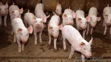 Ҏģ�i�����Ӝp��h����������ί�l�ģ��@�N��r����������