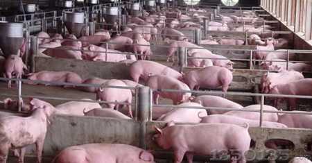 �B(y��ng)�i�˵�ʮ����̣��������Ă�(g��)��