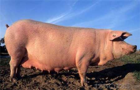 �i�����L��݅�ӵ��B�i��򞣬ÿһ�l��ֵ�ý��b�͌W����