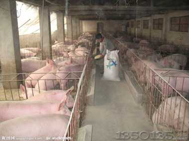 �F(xi��n)���µ��͌�(du��)�ˣ���?y��n)顭�? width=