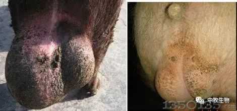 �i���ļ����ò�����6�󼲲�