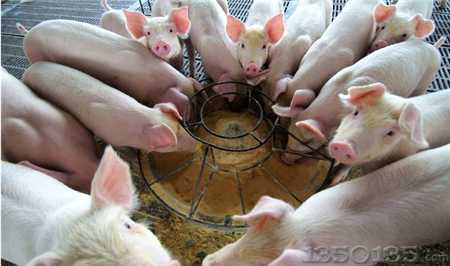 �i�����������ǰl���ĸ�Դ����÷��κ���Ҫ��