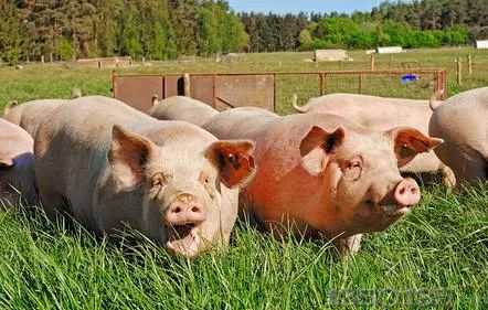 �i�r�͹��ڌ�Ҫ�S�փ��ꣿԭ����Ǿ��^�U��̫�͡���