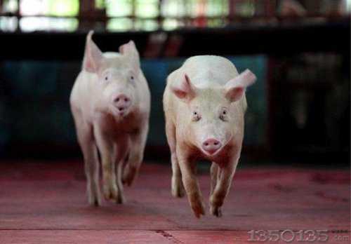 ���V�֣��i�r�@ô�ͣ���ɶ���^�s�J������I�y�õ��D�����C��