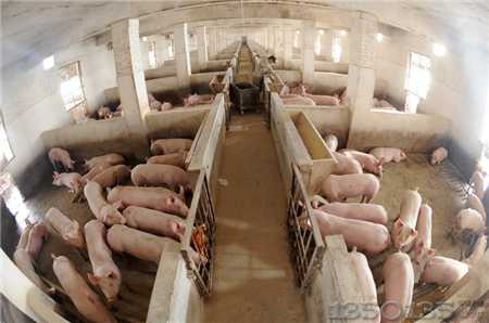 ��ɢ�B�����ͳɱ����Ǽ�ͥ�i��δ�������ͳɱ������ߣ�