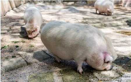 ʮ��ǰÿ���i�������^�@�N������Ŀǰ߀�ǳ����У���